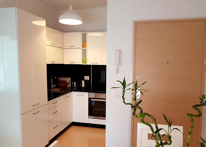 Flori Daire Radhimë